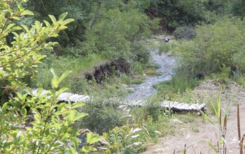 Runoff from a gold mine left this stream contaminated, but one site showed indications of recovery.